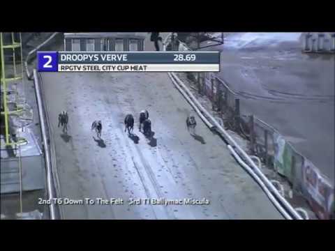 2019 RPGTV STEEL CITY CUP - HEAT 2 - T2 DROOPYS VERVE