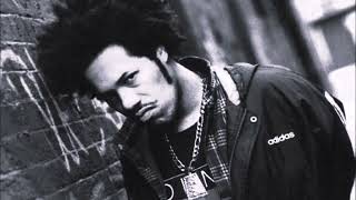 Redman - I Got A Secret (Remix)