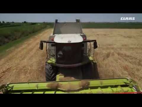 CLAAS In Campo 2016 -  Nel bel grano ferrarese