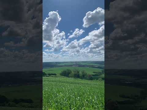 INTERIOR DO PARANÁ ESTRADA PARA NOVA AURORA PARANÁ #naturezasurpreendente