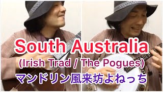 South Australia（Irish Trad / The Pogues）／マンドリン風来坊よねっち