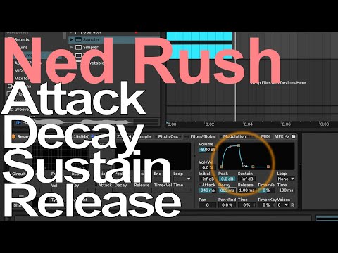 Attack Decay Sustain Release with Ned Rush