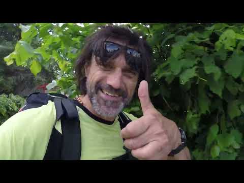 video 2