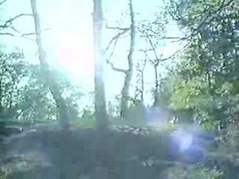 Juliet Jonesin Sydän: Helppo Elämä