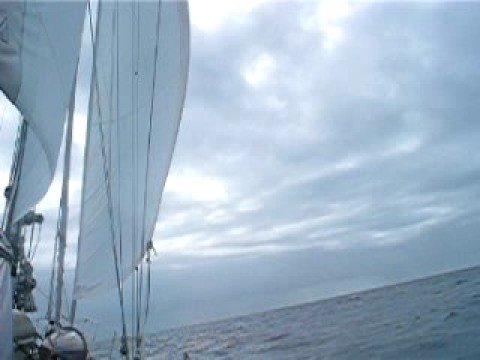 Alden 54 Someday Came