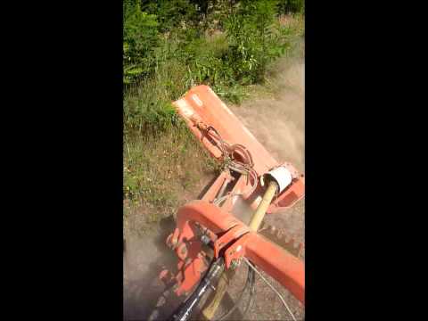 PULIZIA ARGINI (Maschio Giraffa)