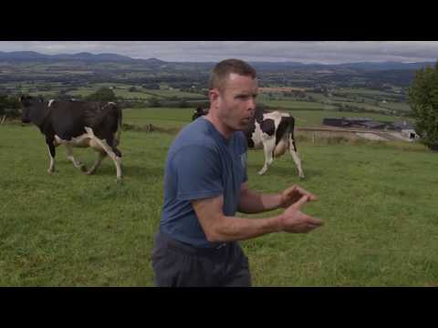 Dairy Farmer Tom Power on the the Importance of Family Right Now & Challenges Farmers Face