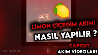 Limon Cicegim Akimi Indir Limon Cicegim Akimi Mp3 Indir