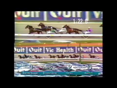 Late Bid - 1995 Victoria Derby Heat