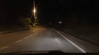 cinghiali-in-strada-ad-ariano