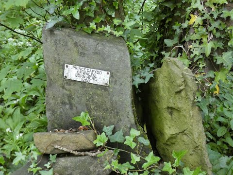 Medieval Welsh Castle & Royal Court remains Hen Blas near Bagillt Flint Flintshire Cymru (Wales) UK