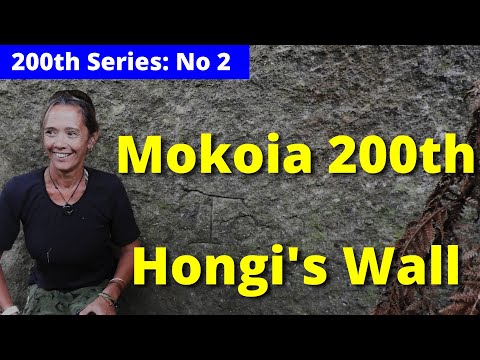 Battle of Mokoia 200th, and Hongi's Wall