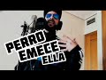 Video de Youtube