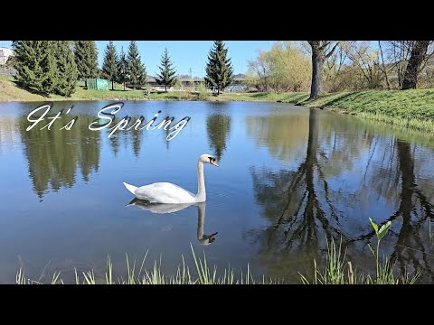 It's Spring (Puchov, Slovakia)