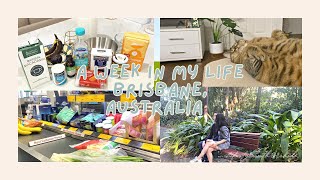 Vlog #3 オーストラリア・ブリスベンでの一週間/ボタニカルガーデンデート/ヴィーガンミニマフィン作り/食料品買い物