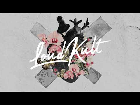 LANDR, Ruuben, Vide - Apologize