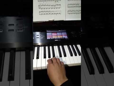 Todos Reunidos - Genesis Campos