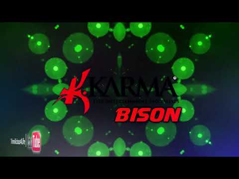 Karma Band: Nisha B - Bison