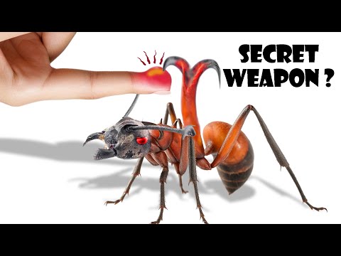 I Got a Pet, the Strangest Ant with a Secret Weapon (Yes, Really) 😱 AntTrek's Ant Simulation
