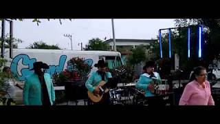 Rayitos de Sol Los Viejones de Linares en vivo