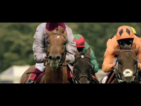 2016 Qatar Goodwood Festival on Racing TV