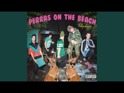 Mis Amigos - Perras on the Beach