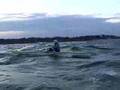 Lorna Rowing Tide Rip