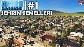 REHBER | Cities Skylines Türkçe - BÖLÜM 1