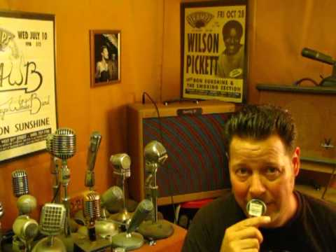 Shure Controlled Magnetic Dual Impedance Harp Mic Vocal Element 99S556