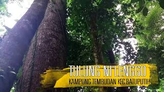 preview picture of video 'Tulung Ni Lenggo, HIDDEN PARADISE OF KALIMANTAN'