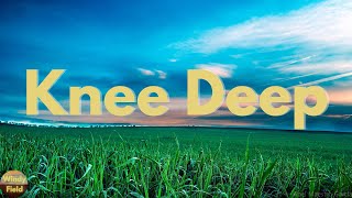 Zac Brown Band - Knee Deep (feat. Jimmy Buffett) (Lyrics)