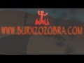 1st Zozobra Commercial