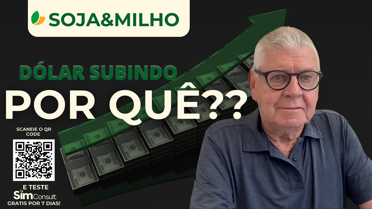 SOJA&MILHO - Dólar subindo, por quê? 💰📈