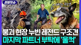 [현장잇슈] 붕괴 현장 누빈 구조견계 '레전드'…파트너 마지막 부탁에 '울컥' / 연합뉴스TV (YonhapnewsTV)