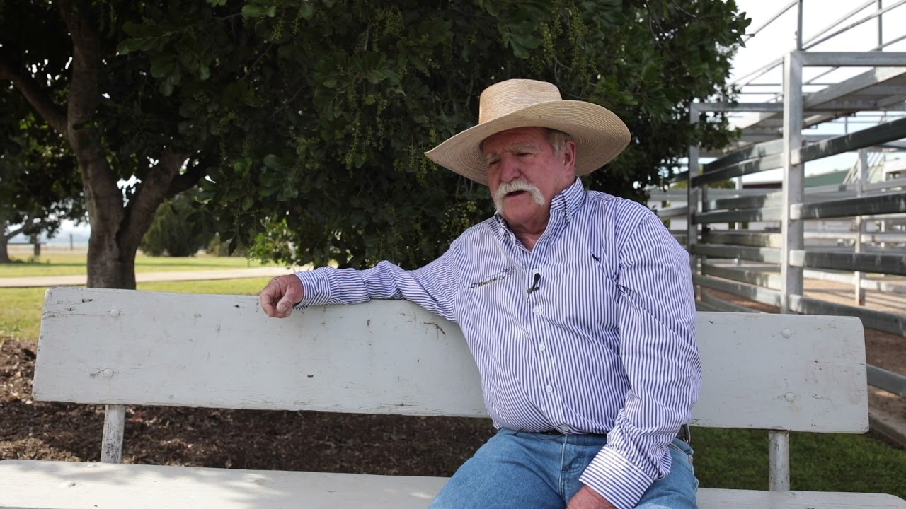Peter Hayes, cattleman, Auctioneer, Licensed Real Estate Agent and Managing Director of Hayes & Co. at Silverdale in the Scenic Rim of Queensland.