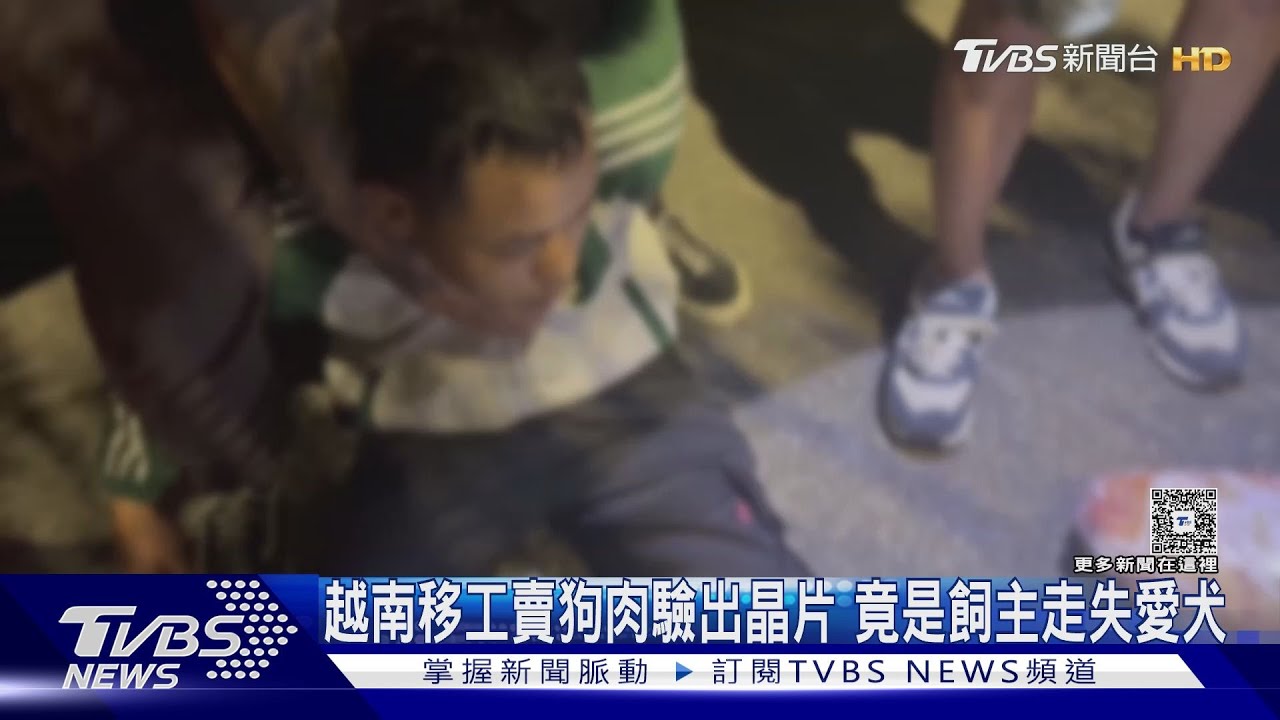 獨/台中越南移工販賣狗肉 「晶片認證」讓飼主心碎