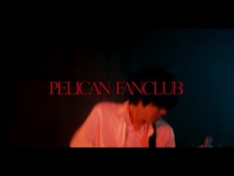 PELICAN FANCLUB  Colores Primarios Music Video