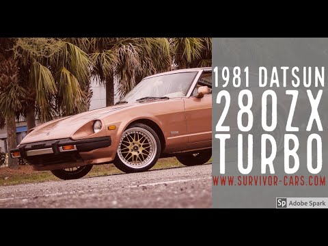 1981 Datsun 280ZX (CC-1332443) for sale in Palmetto, Florida