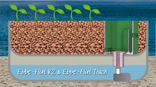 Ebbe-Flut Hydroponik V2 | Ebbe Flut Tisch | Hydroponik für Balkon, Terrasse und Wohnzimmer