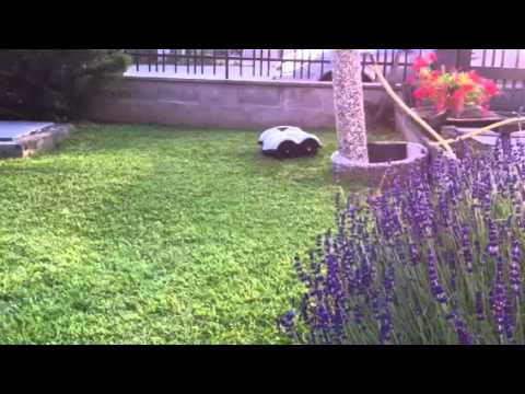 Robot rasaerba Wiper