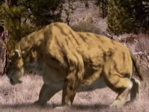 Smilodon (The Giant Titans Of The Ice Age) Sounds