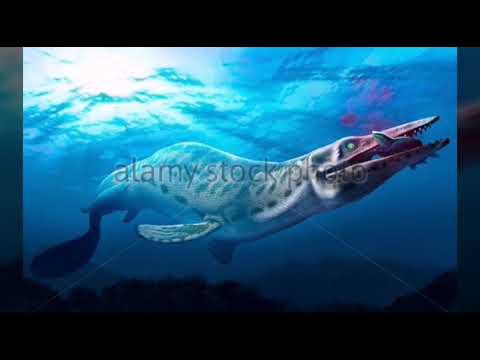 Mosasaurus The terror of sea tribute