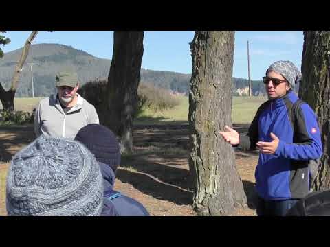 Visit to the Hualpen Nature Sanctuary, Bio-Bio, Chile, 12 October 2019 (in Spanish)
