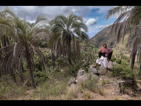 El Palmar 2025 de Chuquisaca