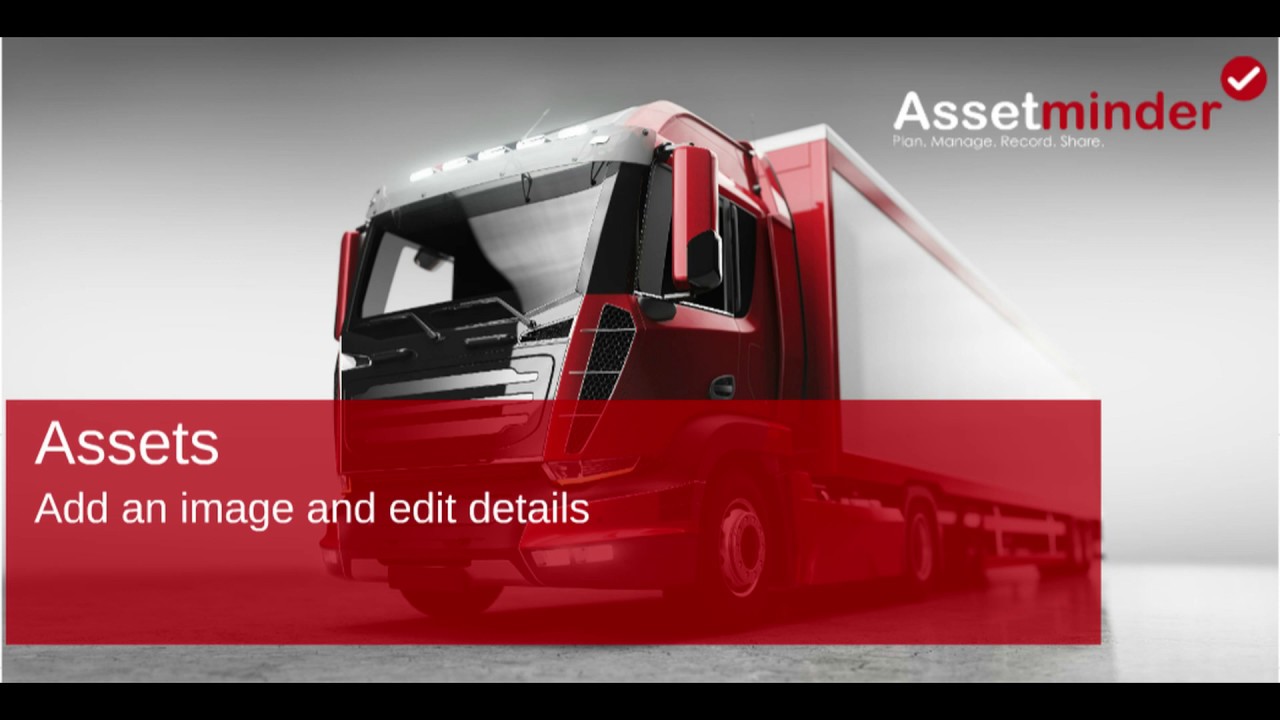 Edit an Asset Record