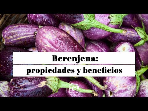 , title : 'Berenjena: propiedades e inconvenientes de este alimento'