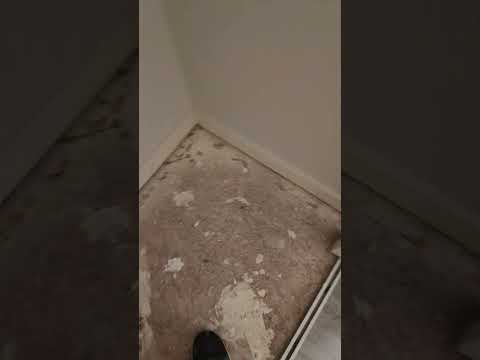 Thumbnail for Mini closet con piso vinil 😱 #shortvideo #satisfying #basketball #construccion #carpintero #work by Car