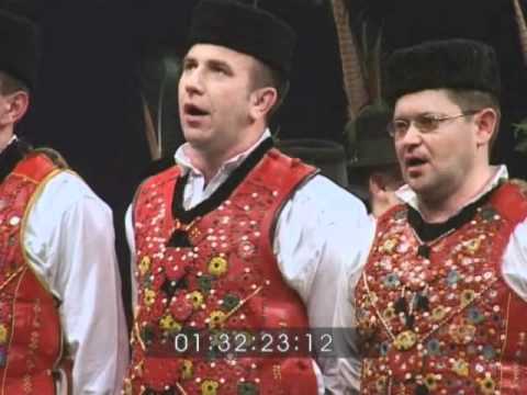 Koncert "Sokacka Grana"