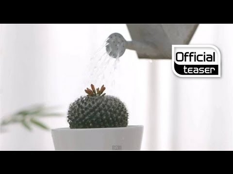 WooHyun(우현)(INFINITE), Lucia(심규선) _ Cactus(선인장) (DUET) (Teaser)