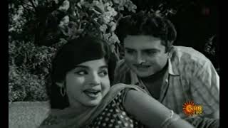 Download lagu நேற்றுநீ சின்ன பப்பா - மேஜர் சந்திரகாந்த் mp3 Download lagu நேற்றுநீ சின்ன பப்பா - மேஜர் சந்திரகாந்த் mp3